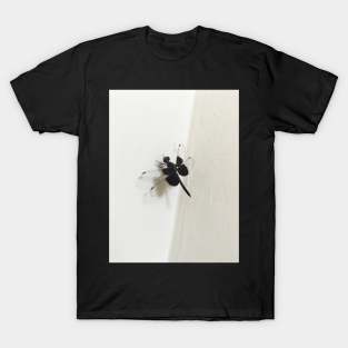 Black Butterfly T-Shirt